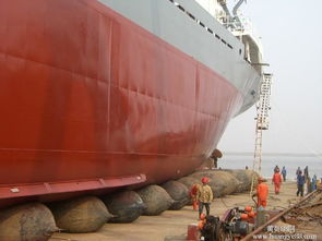 牛下水報(bào)價(jià) 廠家