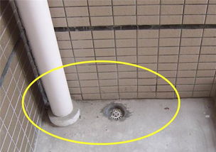 這個(gè)樓下鄰居太自私 陽(yáng)臺(tái)裝修堵住地漏下水管,樓上 排水咋辦